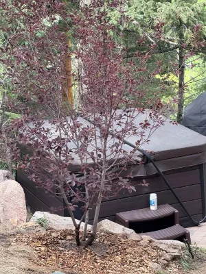 Morrison Mountain Getaway - Red Rocks - Denver Hotels near Hine Lake