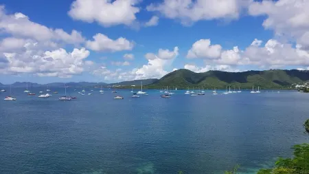 Authentic and comfortable Martinique Villa with pool, 400m from the beach