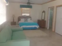 The Swimming Pigs Resort-Blue Marlin Hotels in 