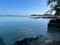 Newly renovated home with Kayaks + Pool