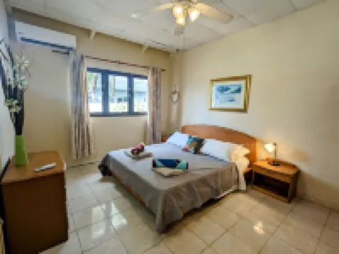 Huge Villa!Walk to Beach, Casinos, and Restaurants.Private Pool & Swim-up Bar.