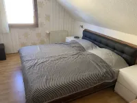 Quiet apartment on the outskirts of the city