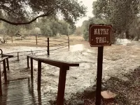 The High Country Hobo Preserve: Rustic Cabin