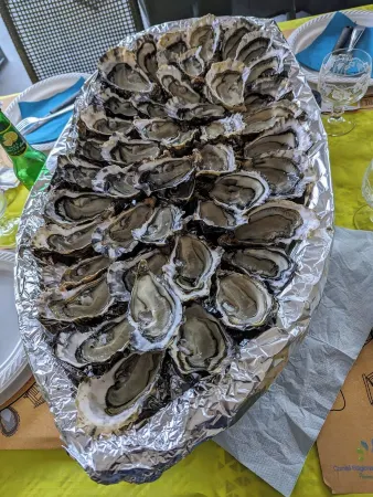 Maison Avec Jardin au Centre de L'île à Proximité des Attractions et Plages Отели рядом с достопримечательностью «Île d'Oléron»