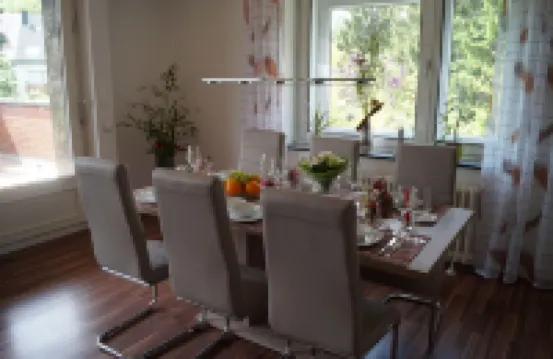 comfortable, 3and 1/2 rooms, apartment with large sun terrace
