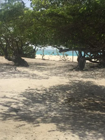 Quiet and Cozy Eagle Beach Area w/King Bed