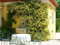 Country cottage fully furnished, in private property, quiet.