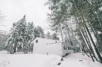 Cozy 2-bedroom cabin in enjoyable Londonderry with AC with hot tub and sauna