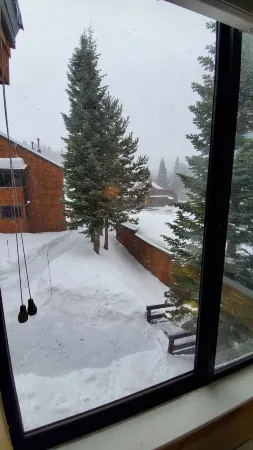 Minutes from Downtown Truckee! Biking, hiking, shopping, restaurants...