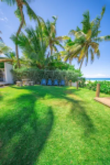 Blue Nest at the Beach