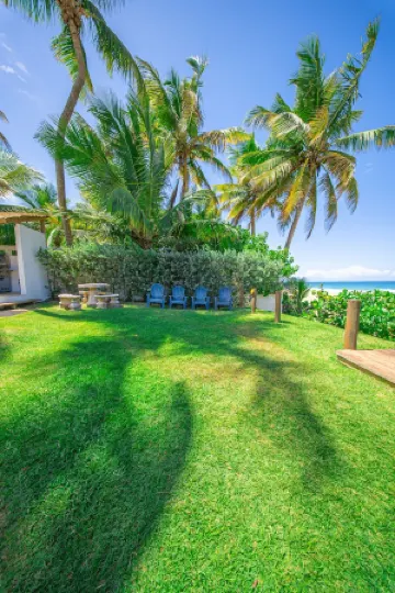 Blue Nest at the Beach