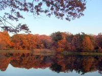 House on Chase Creek - Bed and Breakfasts