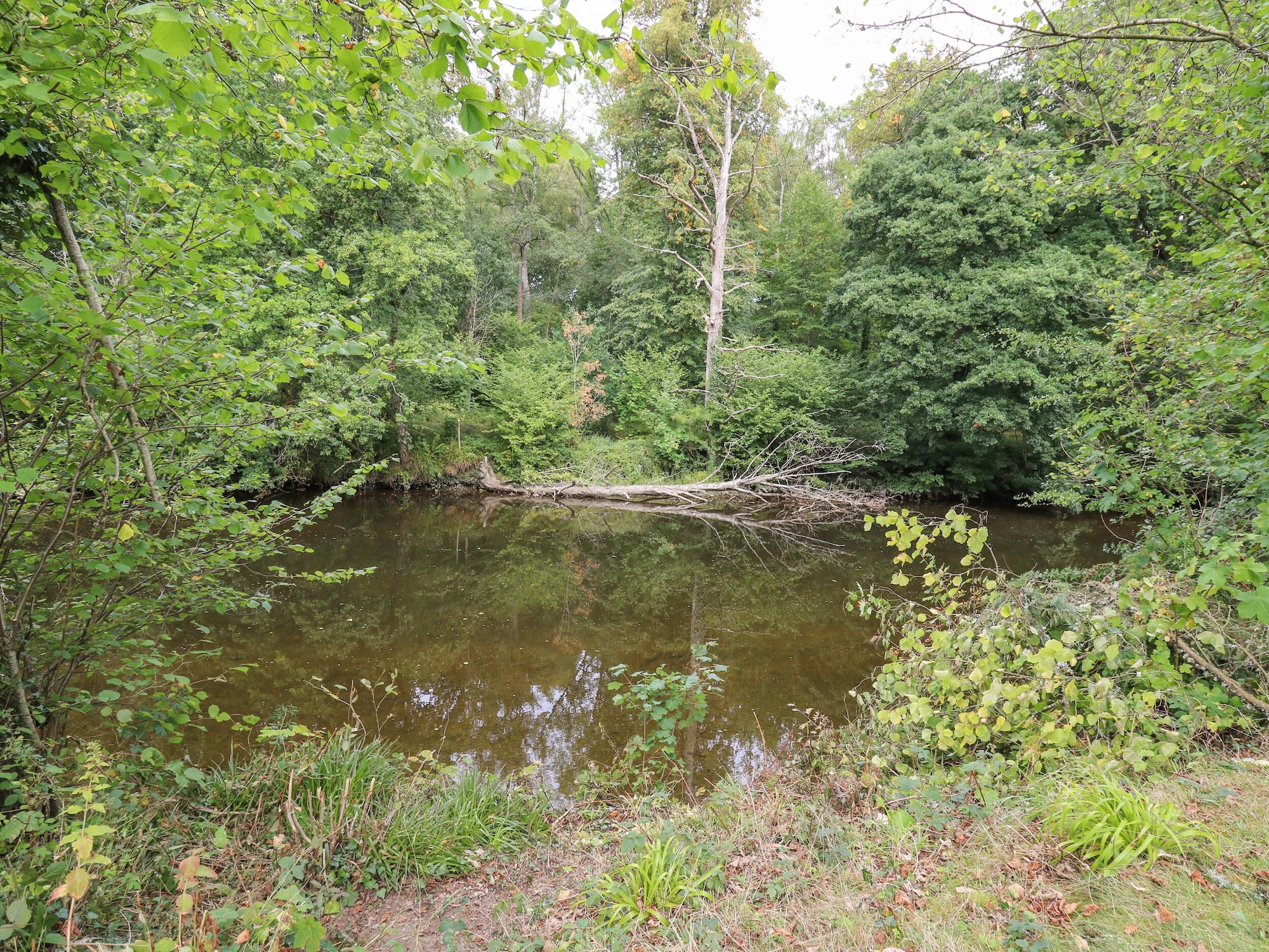 Riverside Rest Hotels in Treflys