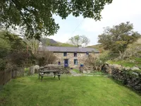 Llwyn Bedw