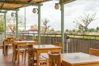 Hotel Yit Ciudad de Elche - breakfast