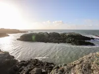 Bryniau