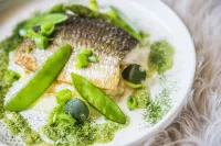 Prins Hendrik Texel Hotels in Texel