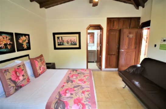 Amazilia Hotel Отели в г. 