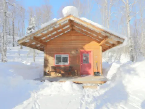 Birch Cabin Hotels in Talkeetna