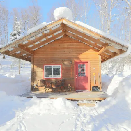 Birch Cabin