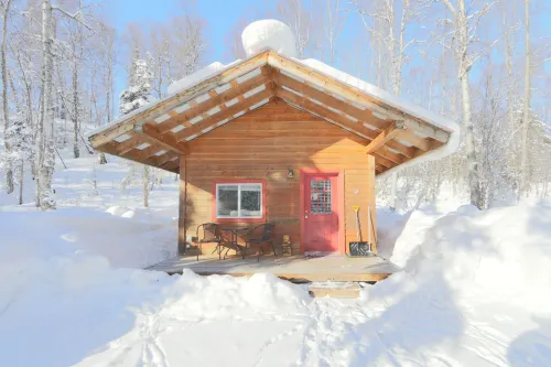 Birch Cabin Hotels in Talkeetna