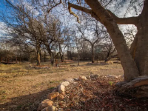 凱蒂的温馨小屋賓館 圖姆斯頓酒店