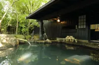 Shinwaen - Hot Springs