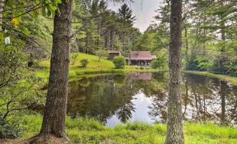 Rustic Cabin with Patio and Pond on Blue Ridge Parkway