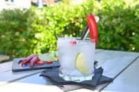 The Duke on the Test - Inns