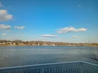 Serene 3-bedroom waterfront newly renovated house, AC, Fast WiFi, Patio - 4-Star