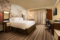 Courtyard Dallas DFW Airport North/Grapevine