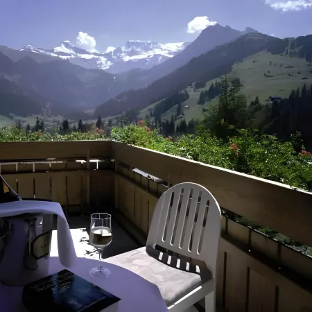 Hotel Steinmattli