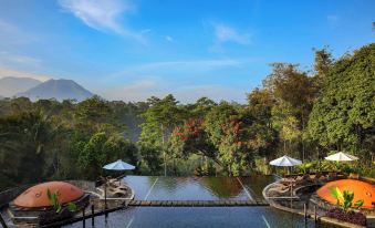 MesaStila Resort and Spa