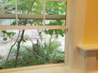 Charming, Private, Detached Studio!