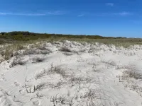 Coastal Charm Meets Cozy Comfort - 1BR Beachside Beauty! Hotele w: Brigantine