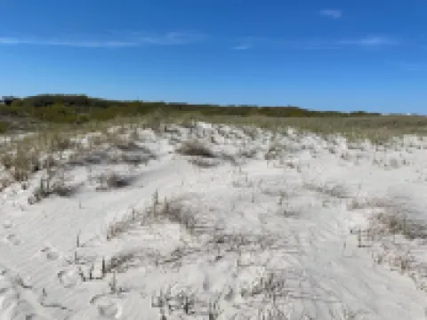 Coastal Charm Meets Cozy Comfort - 1BR Beachside Beauty!