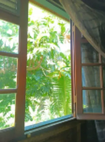 Small, cosy F2 overlooking lush garden. Soothing at the end of the excursion.