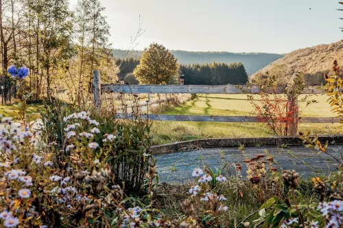 Beautiful and modern vacation apartment in the middle of the Eifel National Park.