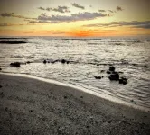 Puako Beach + Sunsets. Feel the Sea Breeze, Hear Calming Surf. Steps to Beach