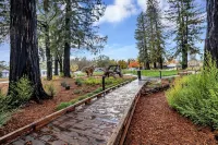 Luxury new studio in downtown Healdsburg with WiFi, AC