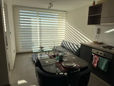 Amazing apartment with WiFi in vibrant Concepción Отели в г. 
