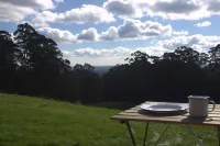 Perfect Tiny House in Nature