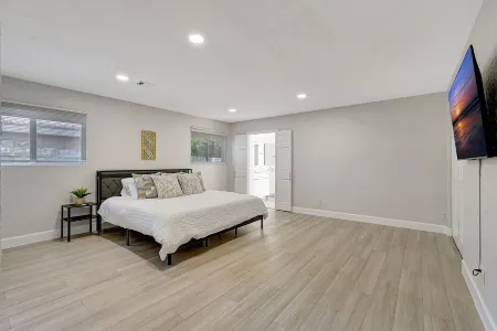 The Oasis Under the Palms