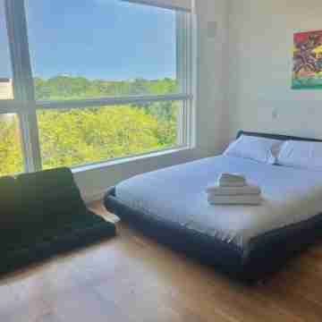 Cozy Luxurious Guest Suite Rooms