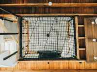 The Banana Hammock Hotels in Logan