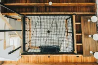 The Banana Hammock Hotels in Logan