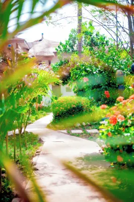 Oasis Beach Resort Hotels in 