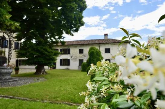 Historic villa surrounded by vineyards Hotels in 