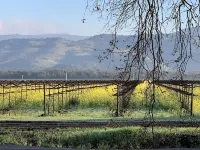 Living the Napa dream in this ideally located Yountville cottage.