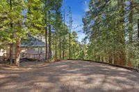 Storybook Cabin 3-bedroom cabin in tranquil Pioneer - Near Kirkwood & Snow!